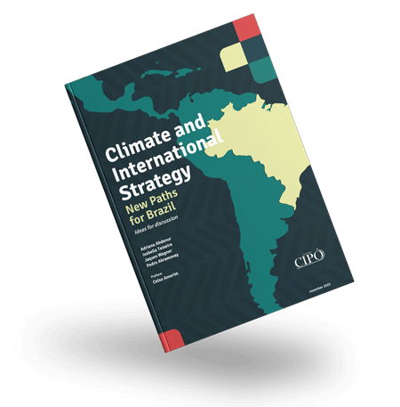 Climate and International Strategy: New Pathways for Brazil